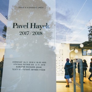 
						Vernisáž výstavy Pavla Hayeka – 2017/2018 #1
					